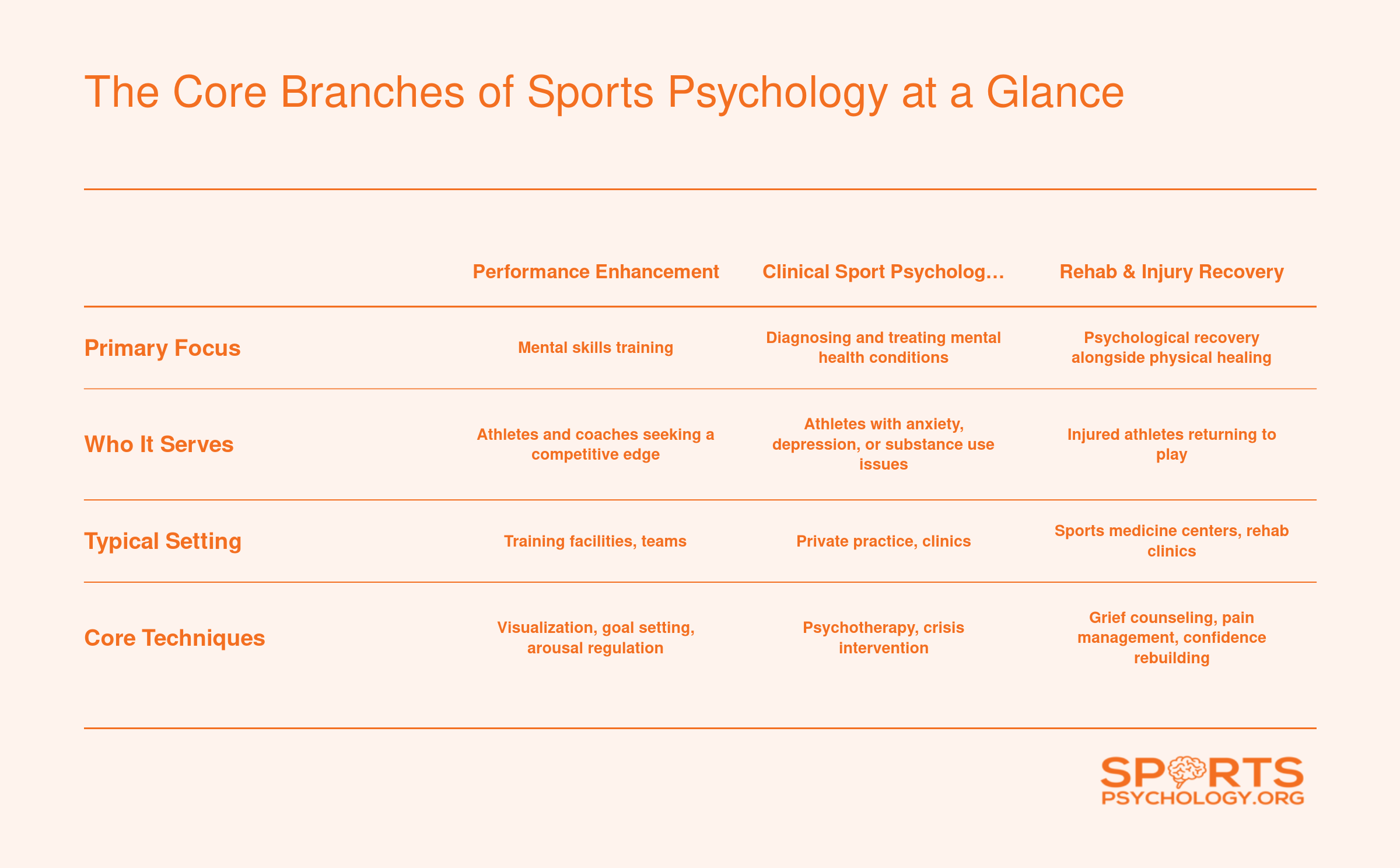 Side-by-side comparison of six sports psychology branches showing primary focus, typical clients, and common settings for each specialization