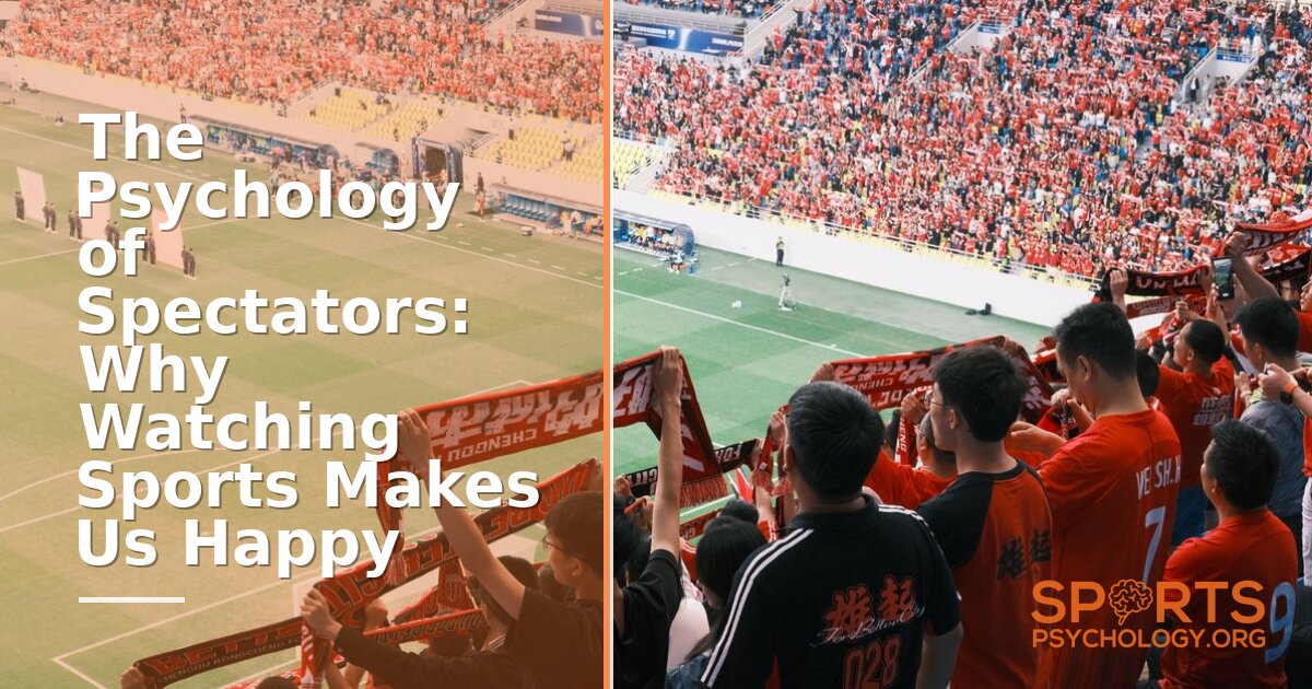 Psychology of Watching Sports: Why It Makes Us Happy